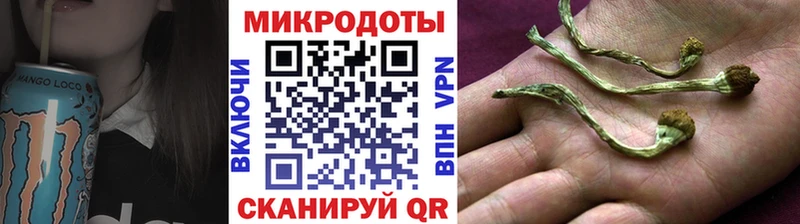 нарко площадка какой сайт  Неман  Псилоцибиновые грибы Psilocybine cubensis 