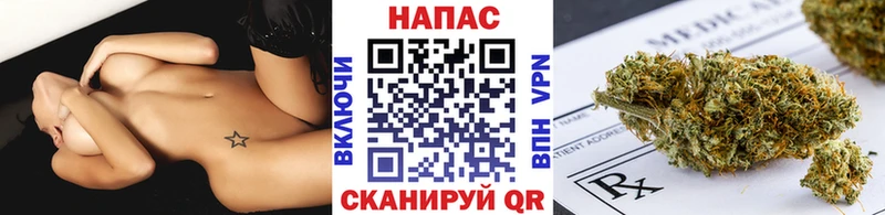 Бошки Шишки семена  наркотики  кракен ССЫЛКА  Неман 